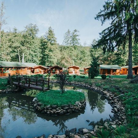 מלון Sicasău Vidra Park מראה חיצוני תמונה